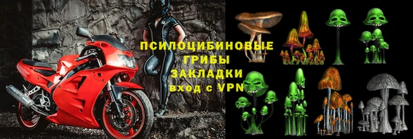 гидра Приозерск