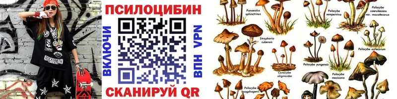 Галлюциногенные грибы Psilocybine cubensis  Нея 